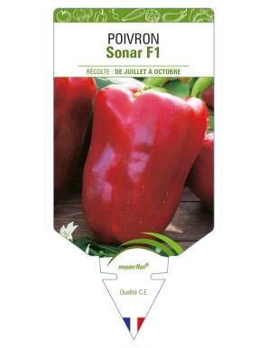 Poivron Sonar F1
