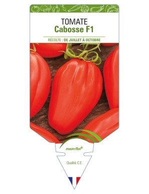 Tomate Cabosse F1