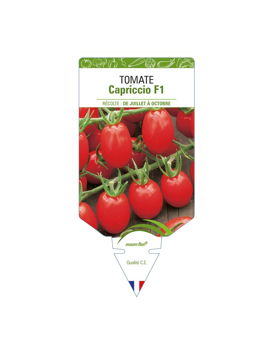 Tomate Capriccio F1