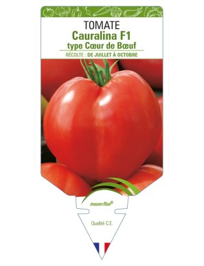Tomate Cauralina F1