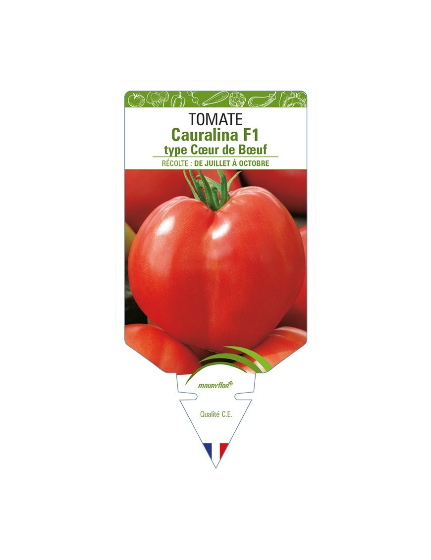 Tomate Cauralina F1