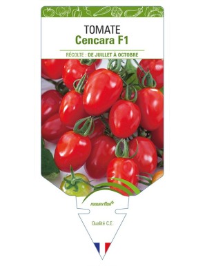 Tomate Cencara F1