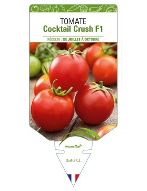 Tomate Cocktail Consuelo F1