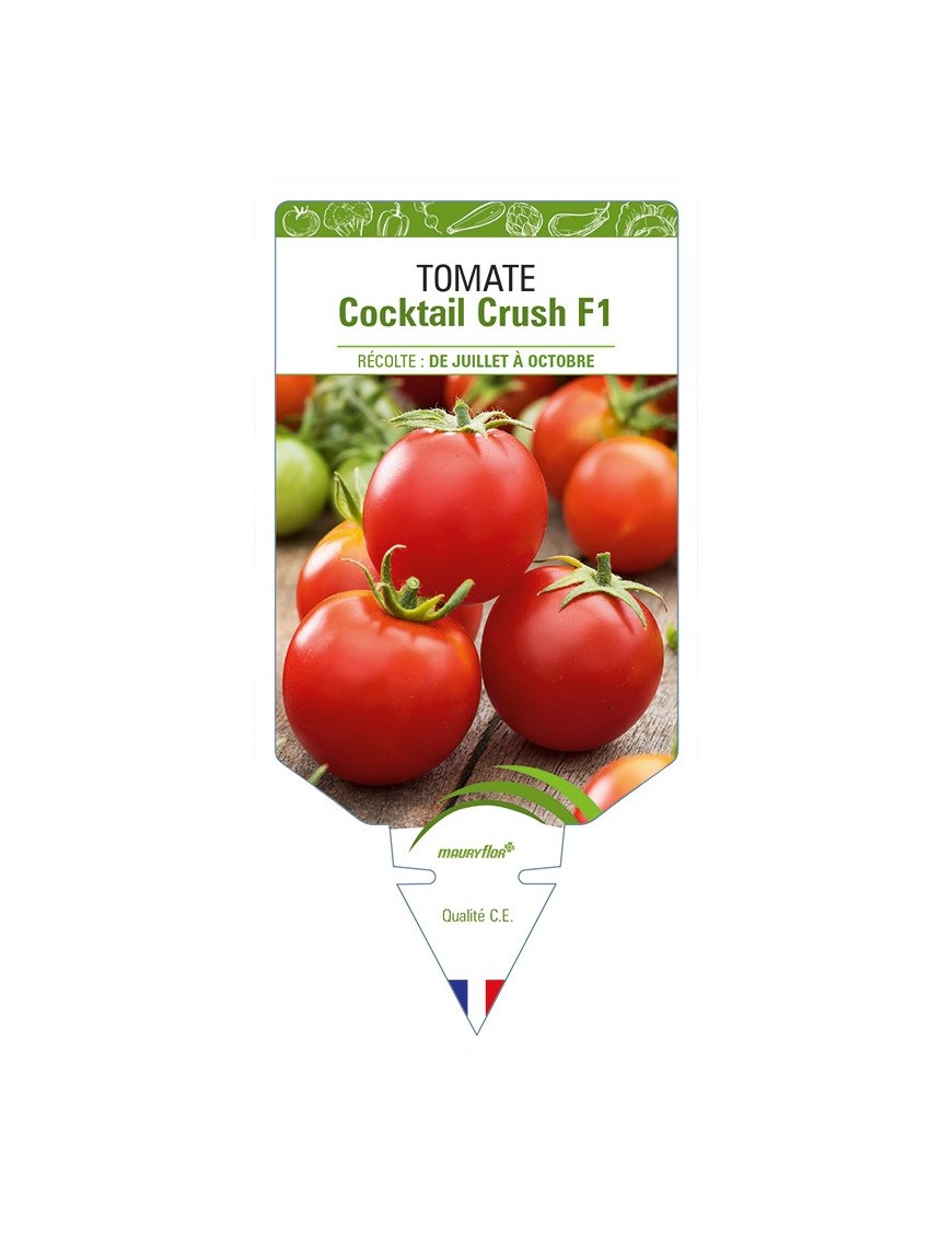 Tomate Cocktail Consuelo F1