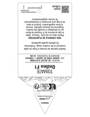 Tomate Ondina F1