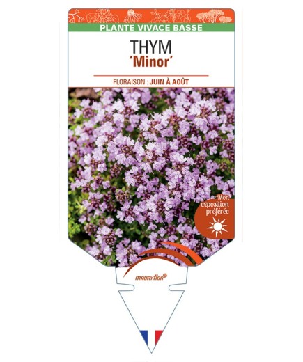 THYMUS (praecox) Minor