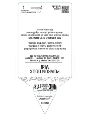 Poivron doux Vidi