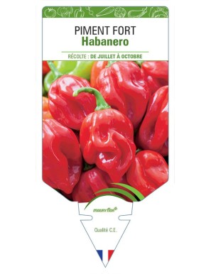 Piment fort Habanero