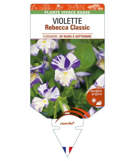 VIOLA Rebecca Classic