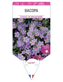 BACOPA (BLEU)