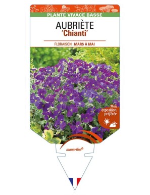 AUBRIETA 'Chianti'