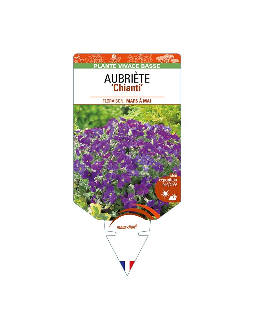 AUBRIETA 'Chianti'