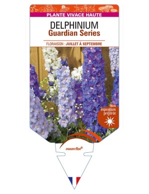 DELPHINIUM Guardian Series