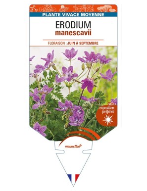 ERODIUM manescavii