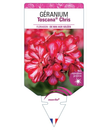GÉRANIUM TOSCANA® CHRIS