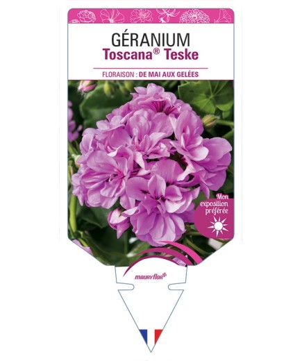 GÉRANIUM TOSCANA® TESKE