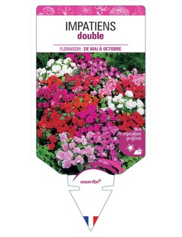 IMPATIENS DOUBLE