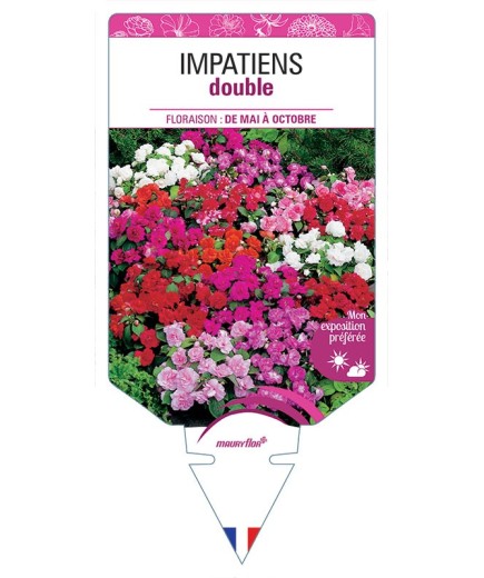 IMPATIENS DOUBLE