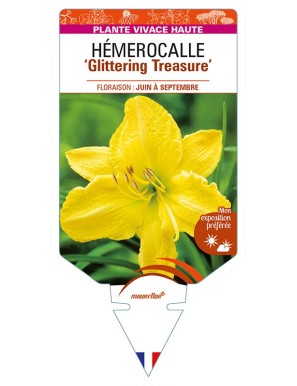 HEMEROCALLIS 'Glittering Treasure'