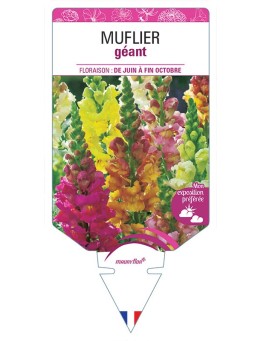 MUFLIER GÉANT (VARIÉ)