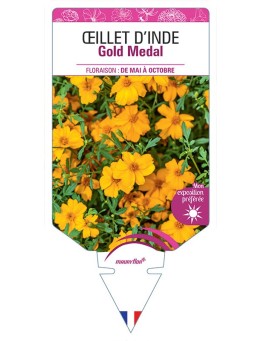 ŒILLET D'INDE GOLD MEDAL