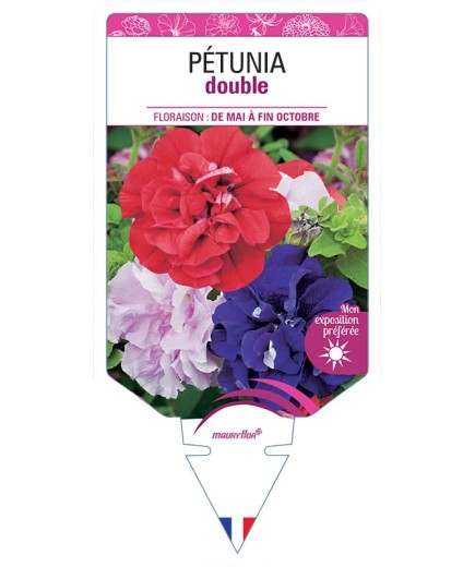 PÉTUNIA DOUBLE (VARIÉ)