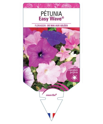 PÉTUNIA EASY WAVE®