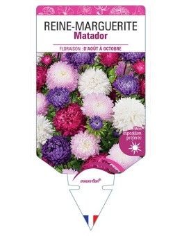 REINE-MARGUERITE MATADOR