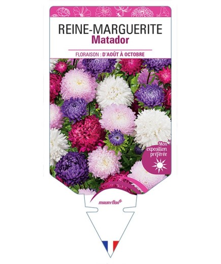 REINE-MARGUERITE MATADOR