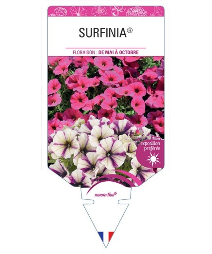 SURFINIA® (VARIÉ)