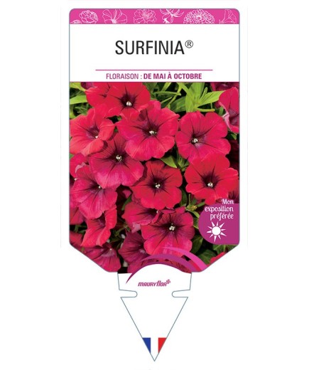 SURFINIA® (ROUGE)