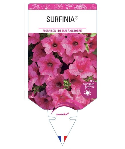 SURFINIA® (HOT PINK)