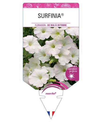 SURFINIA® (BLANC)