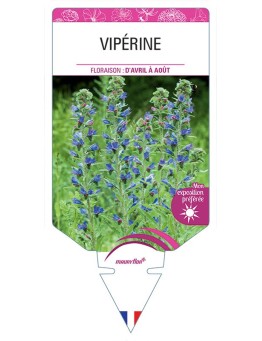 VIPÉRINE