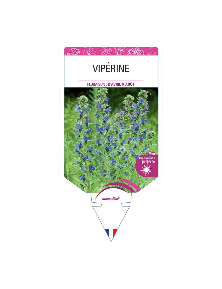VIPÉRINE
