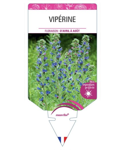 VIPÉRINE