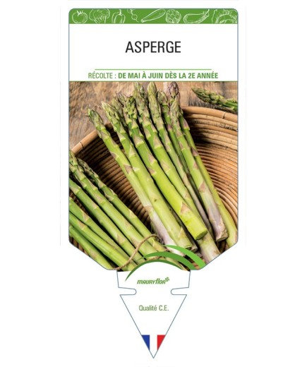 ASPERGE