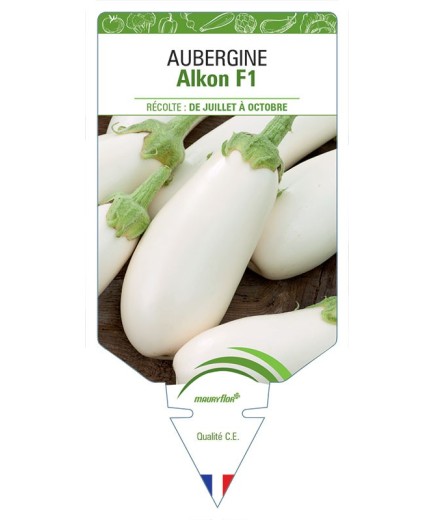 AUBERGINE ALKON F1