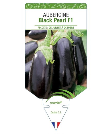 AUBERGINE BLACK PEARL F1