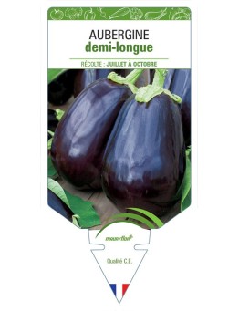 AUBERGINE DEMI-LONGUE