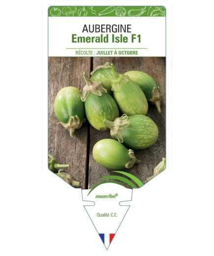 AUBERGINE EMERALD ISLE F1