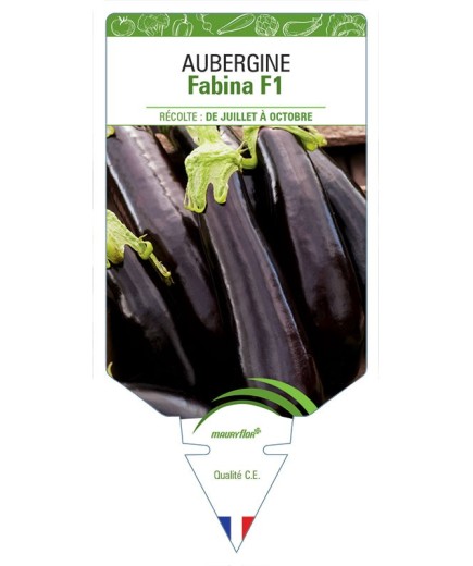 AUBERGINE FABINA F1