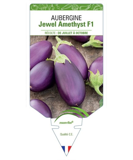 AUBERGINE JEWEL AMETHYSTH F1