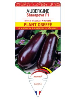 AUBERGINE SHARAPOVA F1 PLANT GREFFÉ