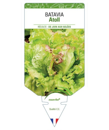 (LAITUE) BATAVIA ATOLL