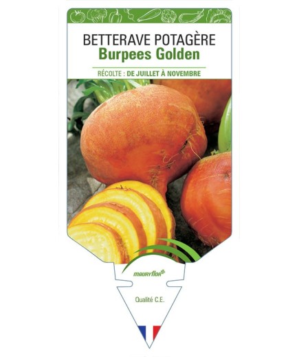 BETTERAVE BURPEES GOLDEN