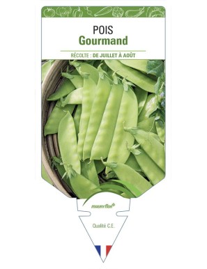 Pois Gourmand