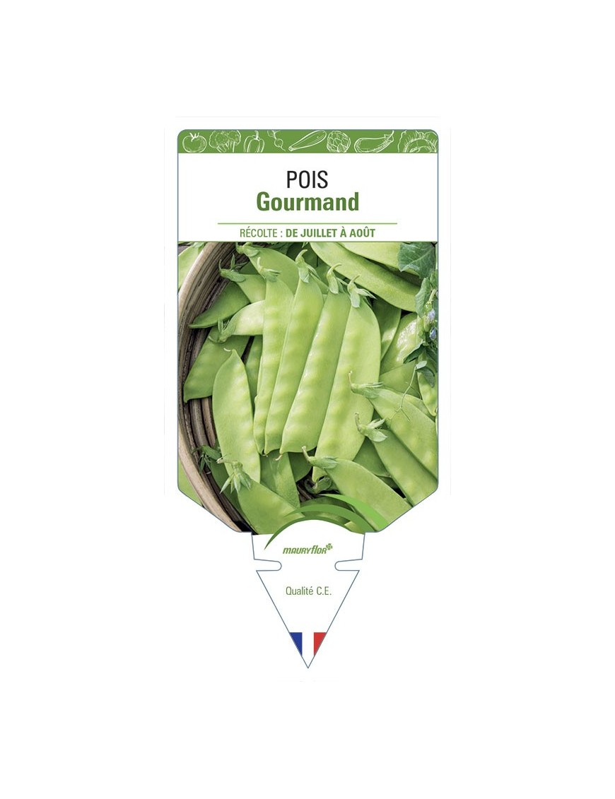 Pois Gourmand