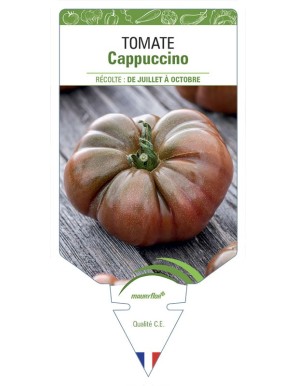 Tomate Cappuccino