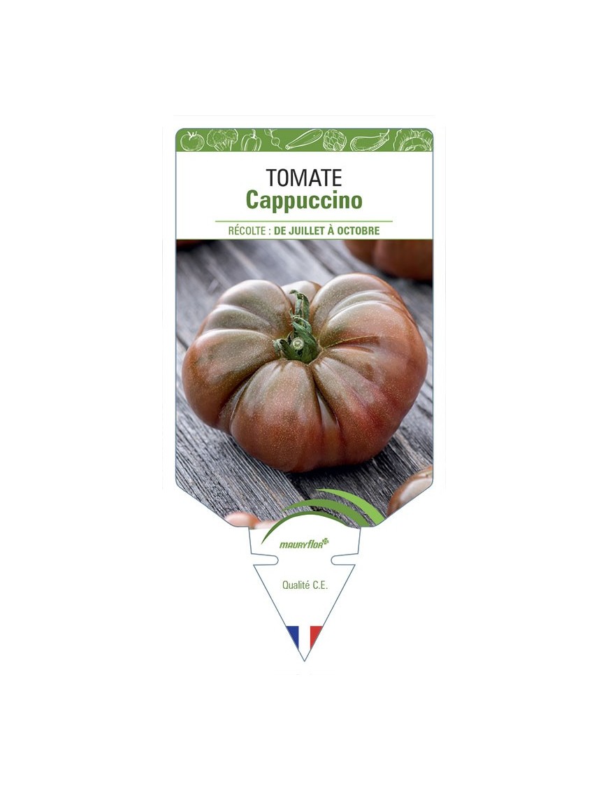 Tomate Cappuccino